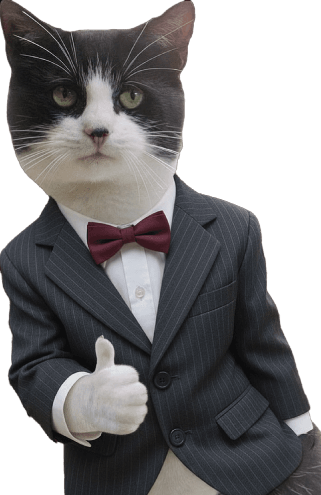 Cat in suit giving thumbs up